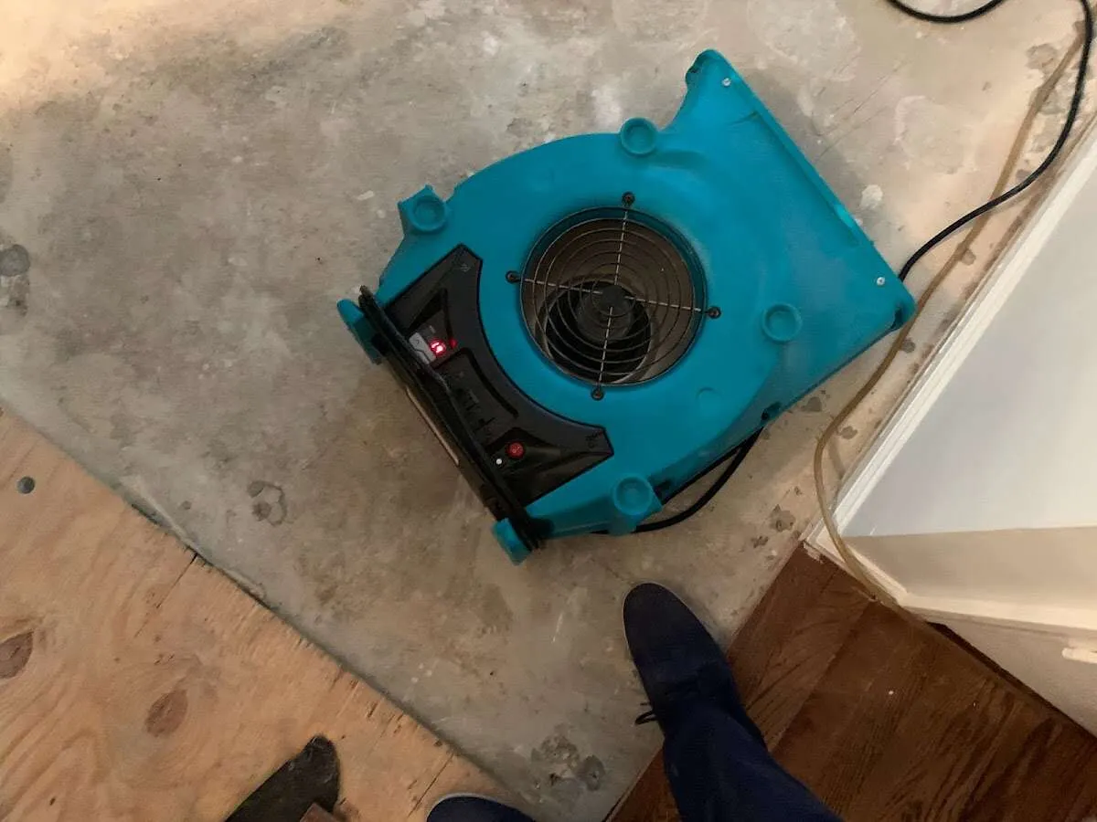 Air mover drying subfloor during Leak Detection & Repair in Black Forest