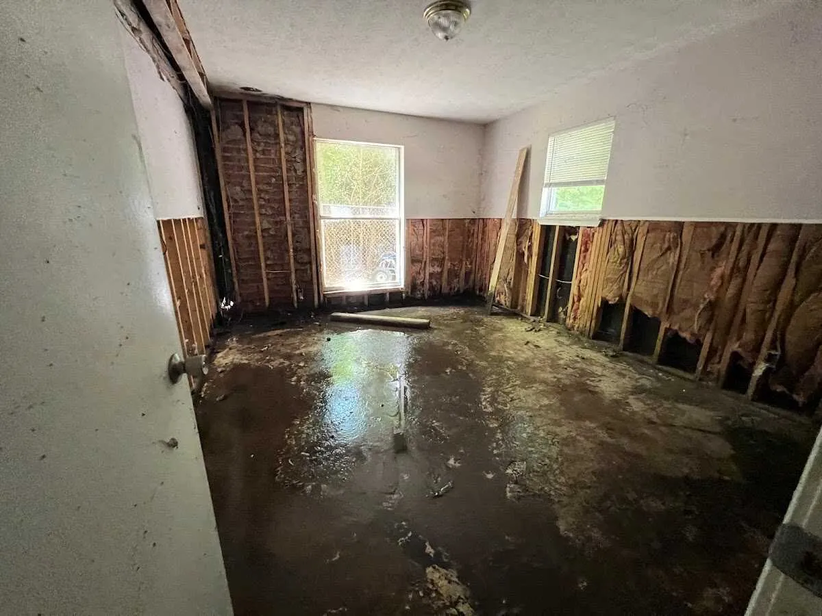 Water Damage Restoration services in Black Forest, CO